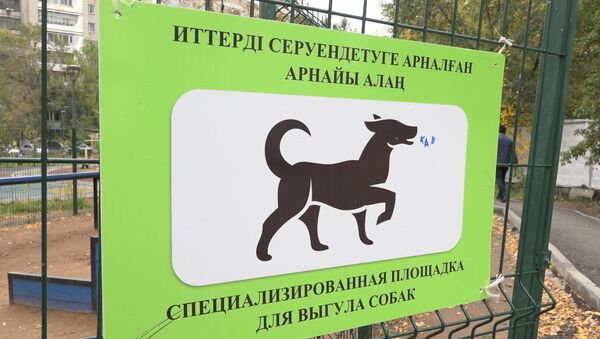 Первая площадка для собак в Астане - Sputnik Казахстан