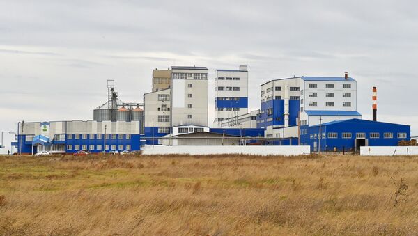 Завод Биохим после 8 лет простоя запустили в СКО - Sputnik Казахстан