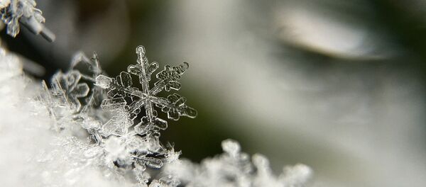 Қар - Sputnik Қазақстан