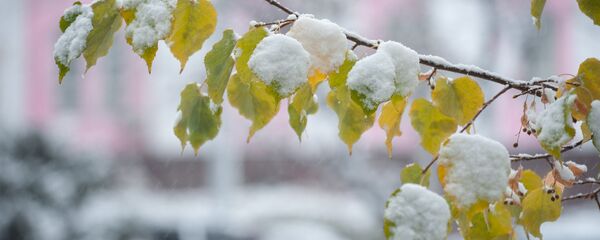 қар - Sputnik Қазақстан