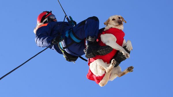Спасатель с собакой, архивное фото - Sputnik Казахстан