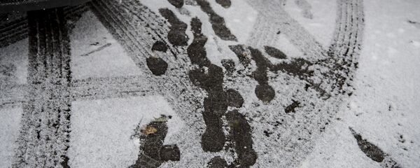 Қардағы іздер Қардағы іздер - Sputnik Қазақстан