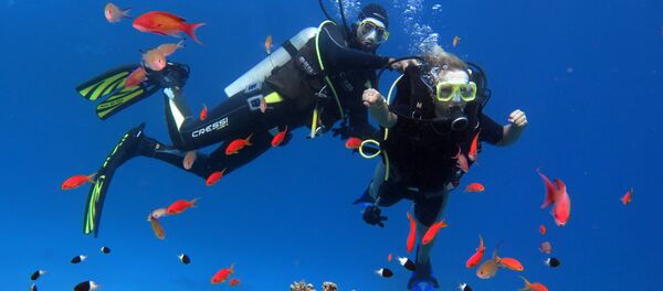 Дайвинг для начинающих - Sputnik Казахстан