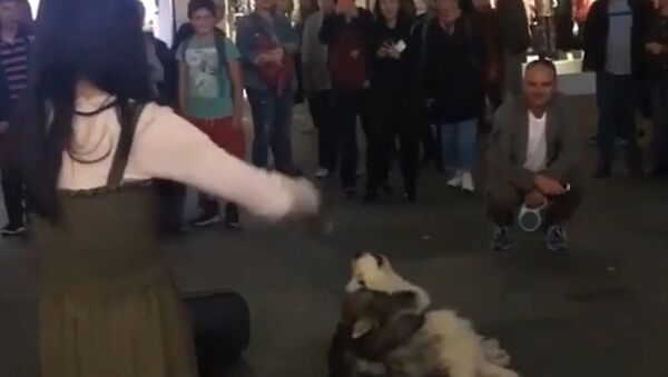 Собака подпевает уличной скрипачке в Ростове - Sputnik Казахстан