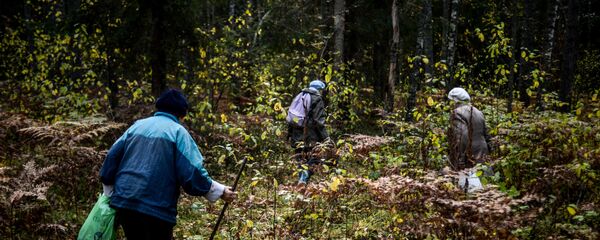 Архивное фото сбора грибов в лесу Архивное фото сбора грибов в лесу - Sputnik Казахстан