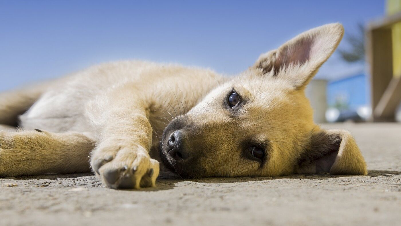 Харьковтегі соқыр секс