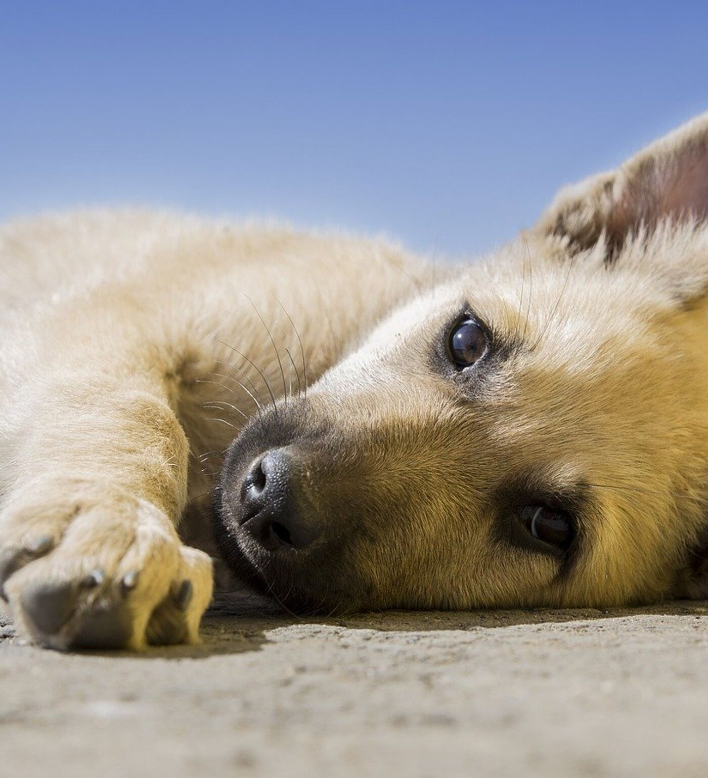 Арық балапандардың порно фотосуреттері