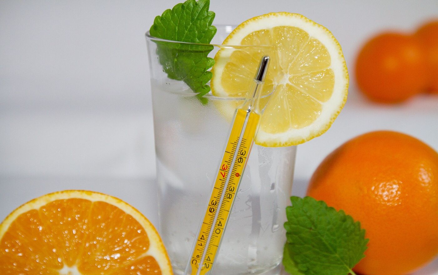 Puma Swed порно актрисасының каталогы