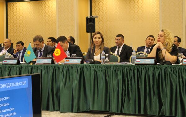 Заседание координационного совета по рекламе при межгоссовете по антимонопольной политике СНГ - Sputnik Казахстан