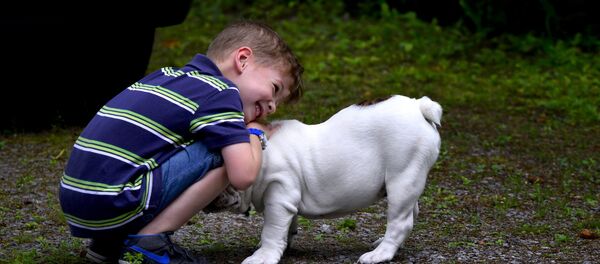 Мальчик и собака Мальчик и собака - Sputnik Казахстан