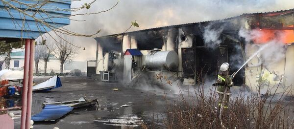 Павлодар облысында ірімшік өндіру цехі өртенді - Sputnik Қазақстан