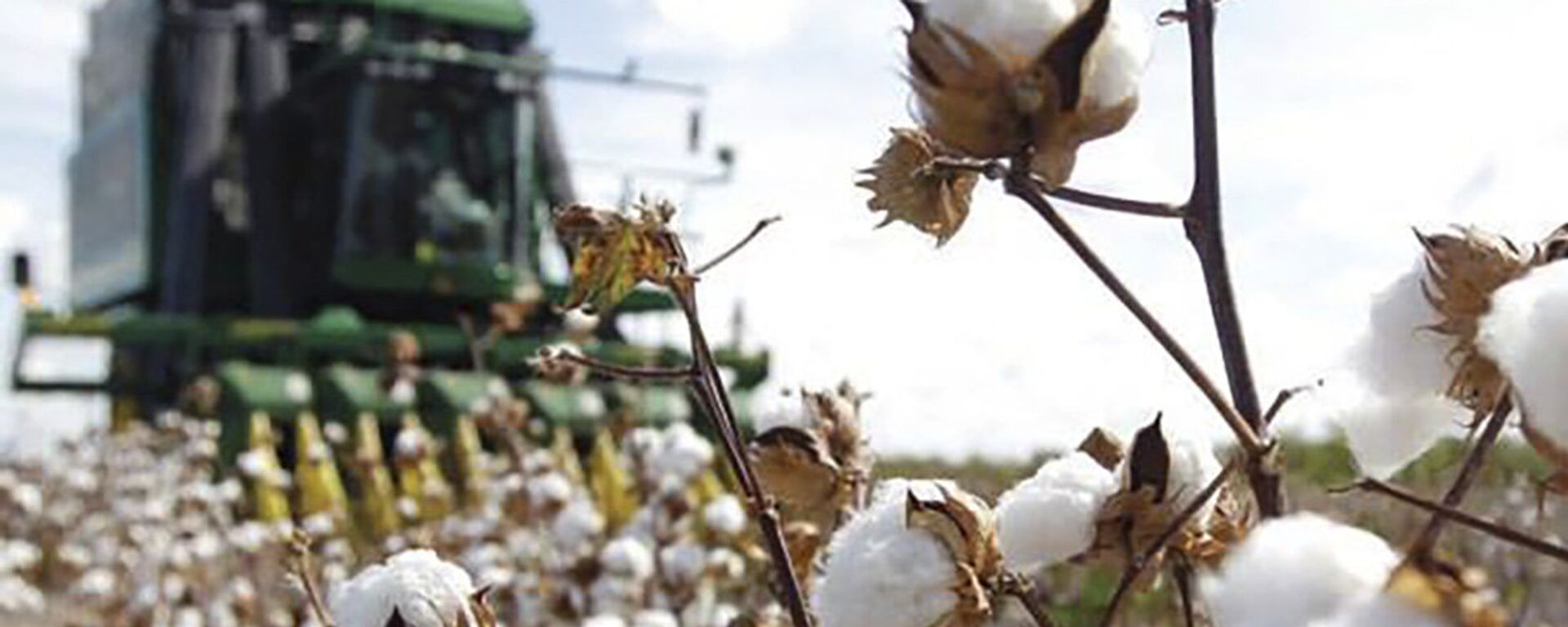 Уборка хлопка - Sputnik Қазақстан, 1920, 24.03.2025