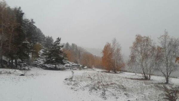 снег зима - Sputnik Казахстан