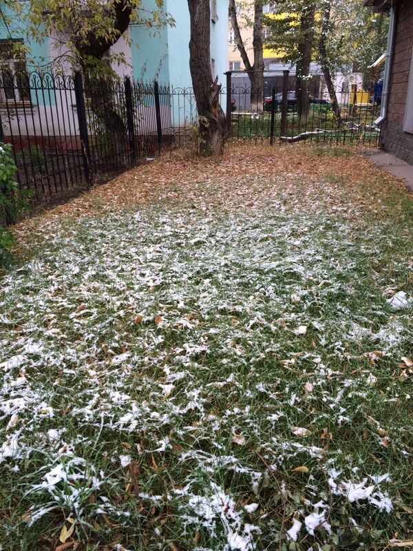 Снег во дворе в Астане - Sputnik Казахстан