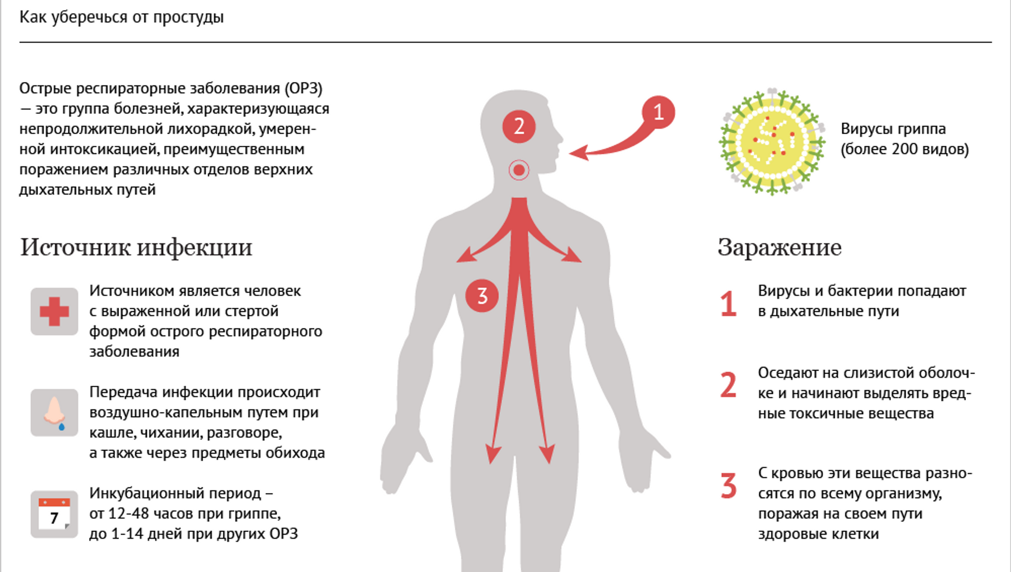 1 признаки простуды