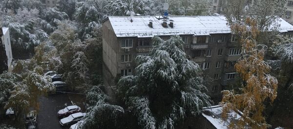 Алматыға алғашқы қару жауды - Sputnik Қазақстан