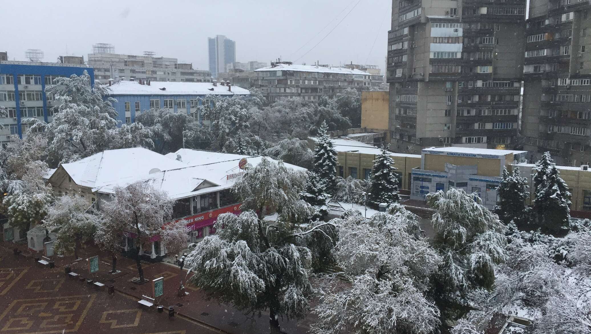 Буря в алматы сегодня. Алматы снег. В Алматы выпал снег. Алматы снег фото. Погода в Алматы сейчас фото.