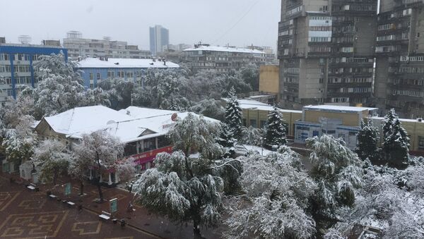 Первый снег выпал в Алматы - Sputnik Казахстан
