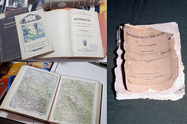 Сорокопуты русской фауны и Атлас офицера Сорокопуты русской фауны и Атлас офицера - Sputnik Казахстан