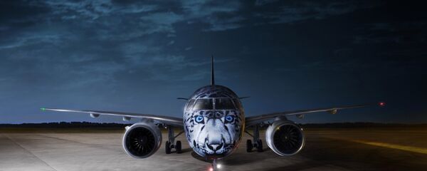 Изображение снежного барса на самолете - Sputnik Казахстан