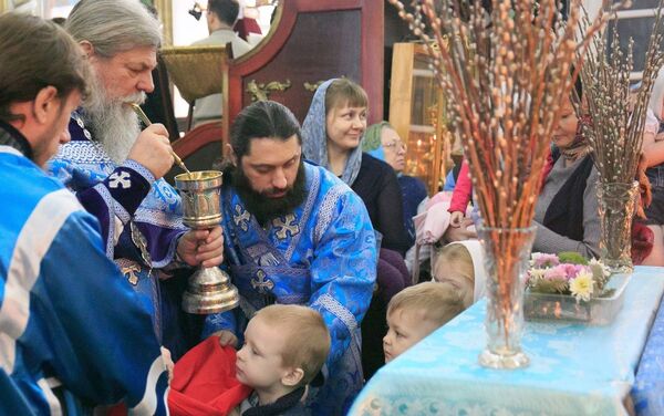 Верба распустилась в Петропавловске накануне православного праздника - Sputnik Казахстан