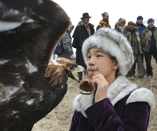 Чемпионат Азии по охоте с ловчими птицами - Sputnik Казахстан