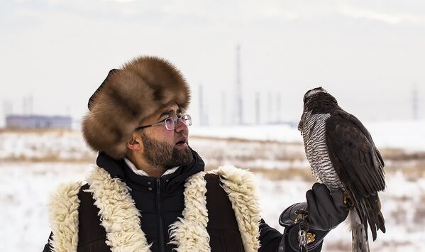 Чемпионат Азии по охоте с ловчими птицами - Sputnik Казахстан