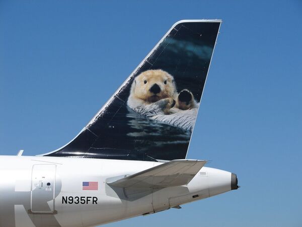 Самолет с изображением выдры на хвосте американской авиакомпании Frontier Airlines - Sputnik Казахстан