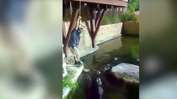Мужчина едва не погиб в водоеме, кишащем крокодилами - Sputnik Казахстан