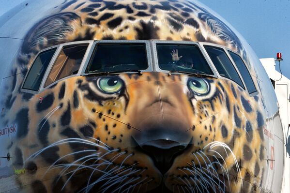 Лайнер с изображением дальневосточного леопарда совершил первый рейс во Владивосток - Sputnik Казахстан