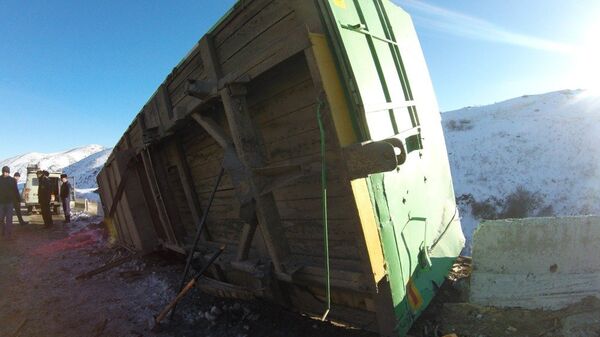 На перевале Куюк в кювет съехал большегруз, перевозящий тигра - Sputnik Казахстан