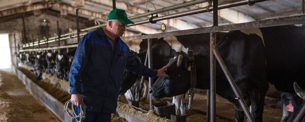 Ферма, архивтегі фото Ферма, архивтегі фото - Sputnik Қазақстан