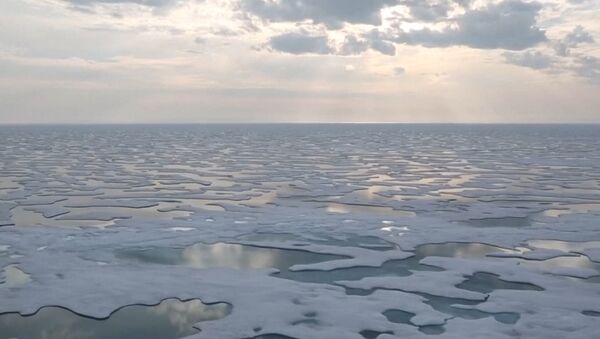 Льды Антарктиды стремительно тают - Sputnik Казахстан