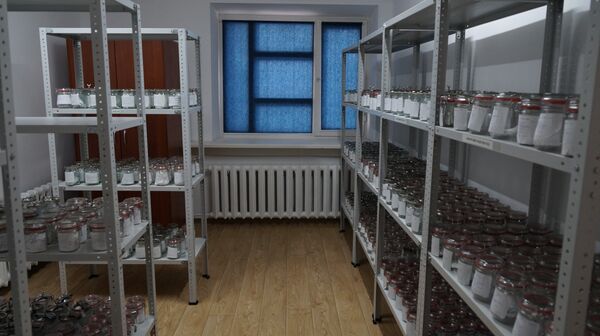 Одорологическая лаборатория открыта в Павлодарской области Одорологическая лаборатория открыта в Павлодарской области - Sputnik Казахстан