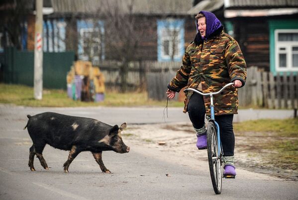 Женщина на велосипеде в селе Тонеж, Белоруссия - Sputnik Казахстан