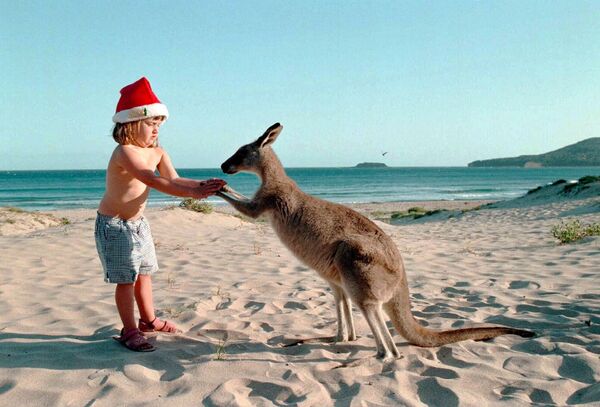 Девочка с кенгуру на пляже накануне Рождества в Австралии - Sputnik Казахстан