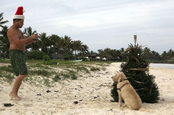 Мужчина фотографирует собаку у рождественской елки на Гавайях - Sputnik Казахстан