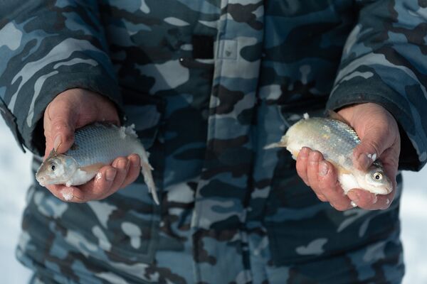 Подледная рыбалка на Капчагайском водохранилище - Sputnik Казахстан