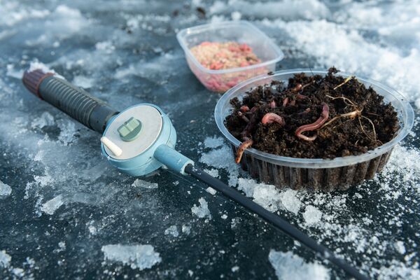 Подледная рыбалка на Капчагайском водохранилище - Sputnik Казахстан