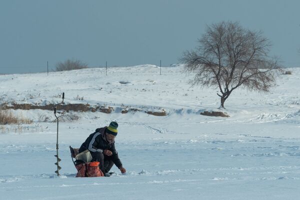 Подледная рыбалка на Капчагайском водохранилище - Sputnik Казахстан