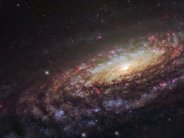 Спиральная галактика NGC 7331 в созвездии Пегас - Sputnik Казахстан