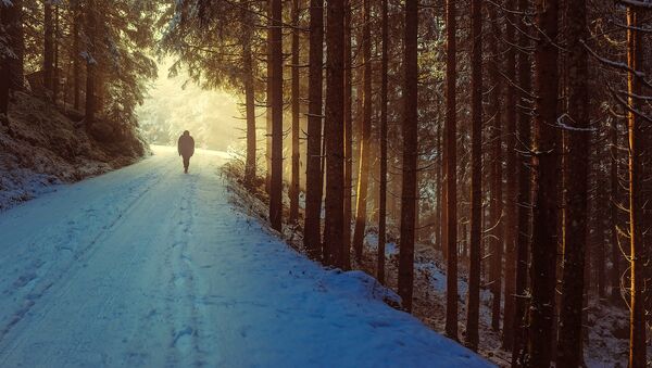 Силуэт на фоне зимней природы, иллюстративное фото - Sputnik Қазақстан