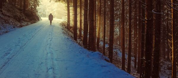 Қыс Қыс - Sputnik Қазақстан