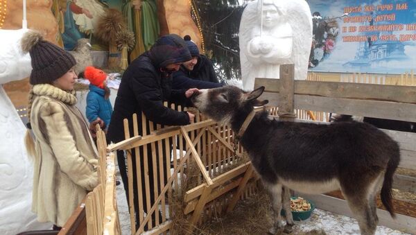 Вертеп с живыми животными установили накануне Рождества во дворе храма в Петропавловске - Sputnik Казахстан