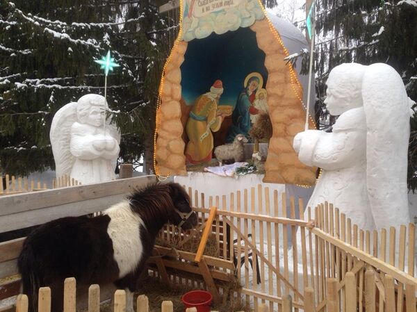 Вертеп с живыми животными установили накануне Рождества во дворе храма в Петропавловске - Sputnik Казахстан