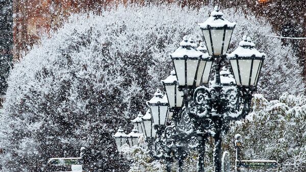 Уличные фонари, занесенные снегом - Sputnik Казахстан