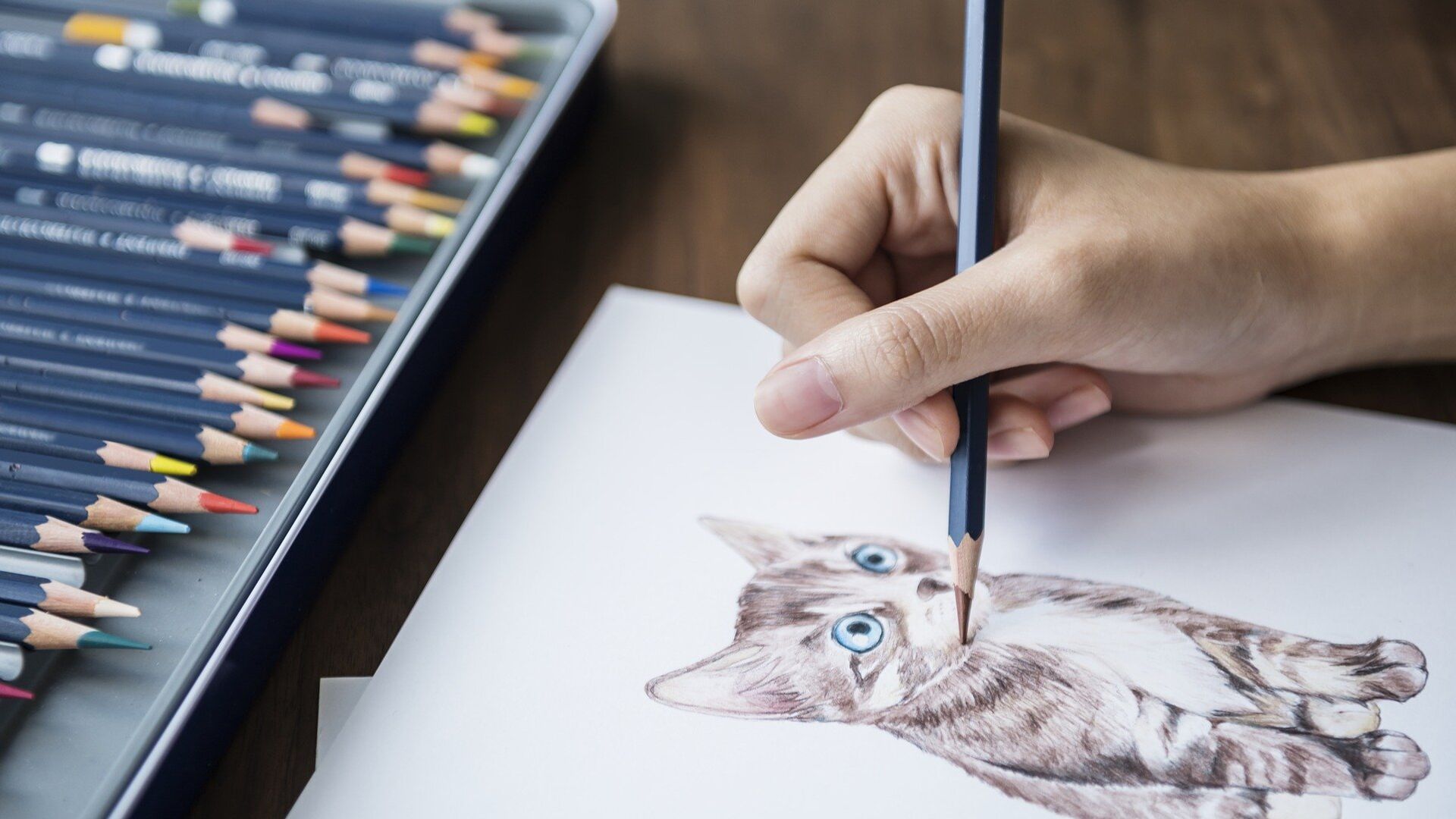 Рисунок с изображением кошки, иллюстративное фото Рисунок с изображением кошки, иллюстративное фото - Sputnik Казахстан, 1920, 16.08.2021