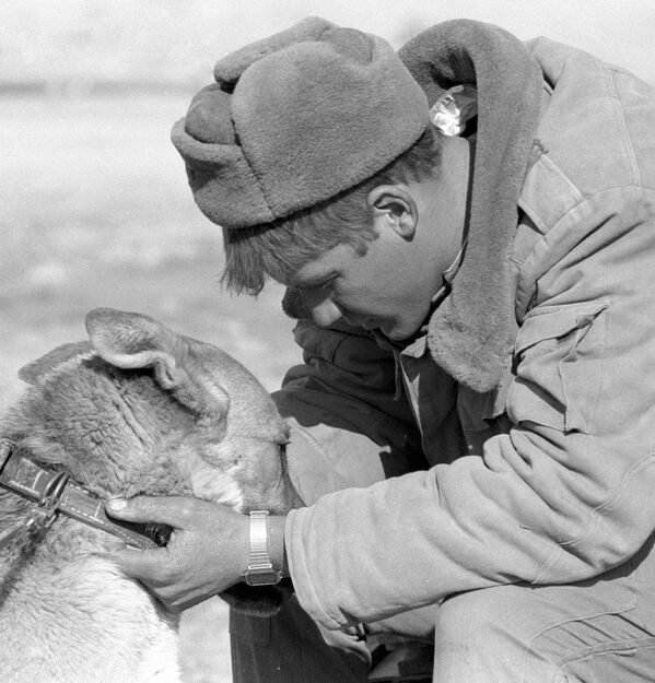 Солдат прощается со служебной собакой. Вывод советских войск из Афганистана - Sputnik Казахстан