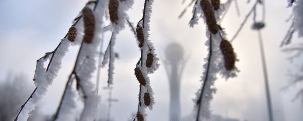 Зима в Астане Зима в Астане - Sputnik Казахстан