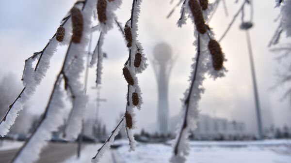 Зима в Астане - Sputnik Казахстан